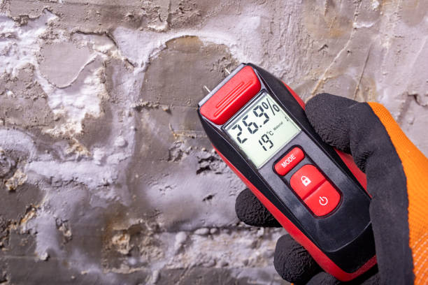Best Certified Mold Removal  in Short Hills, NJ