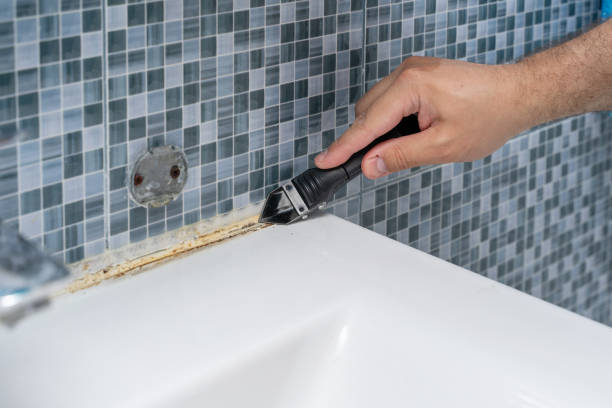 Best Mold Testing  in Short Hills, NJ