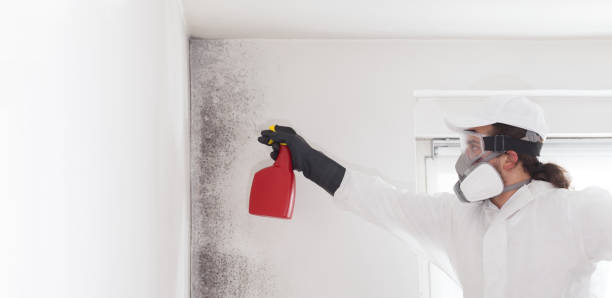 Best Professional Mold Removal  in Short Hills, NJ